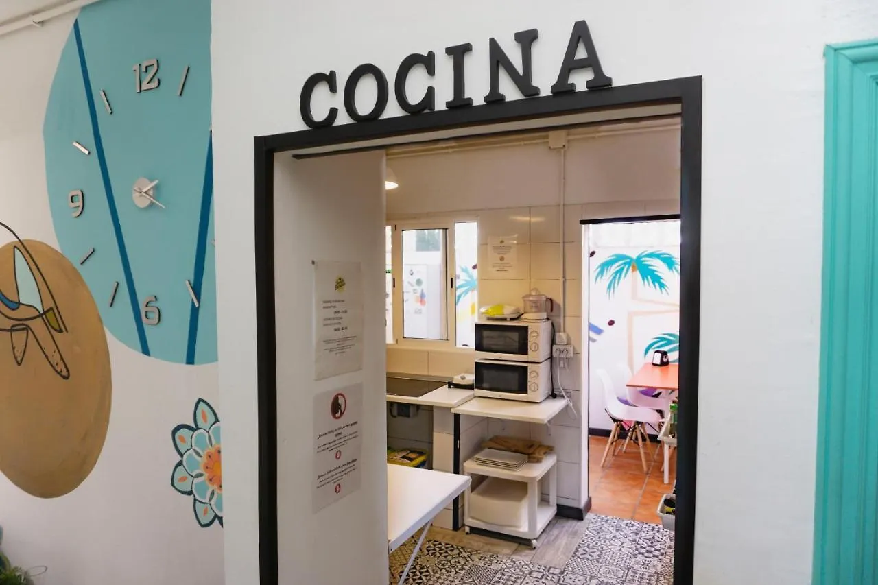 Tenerife Experience Hostel Santa Cruz de Tenerife Affittacamere