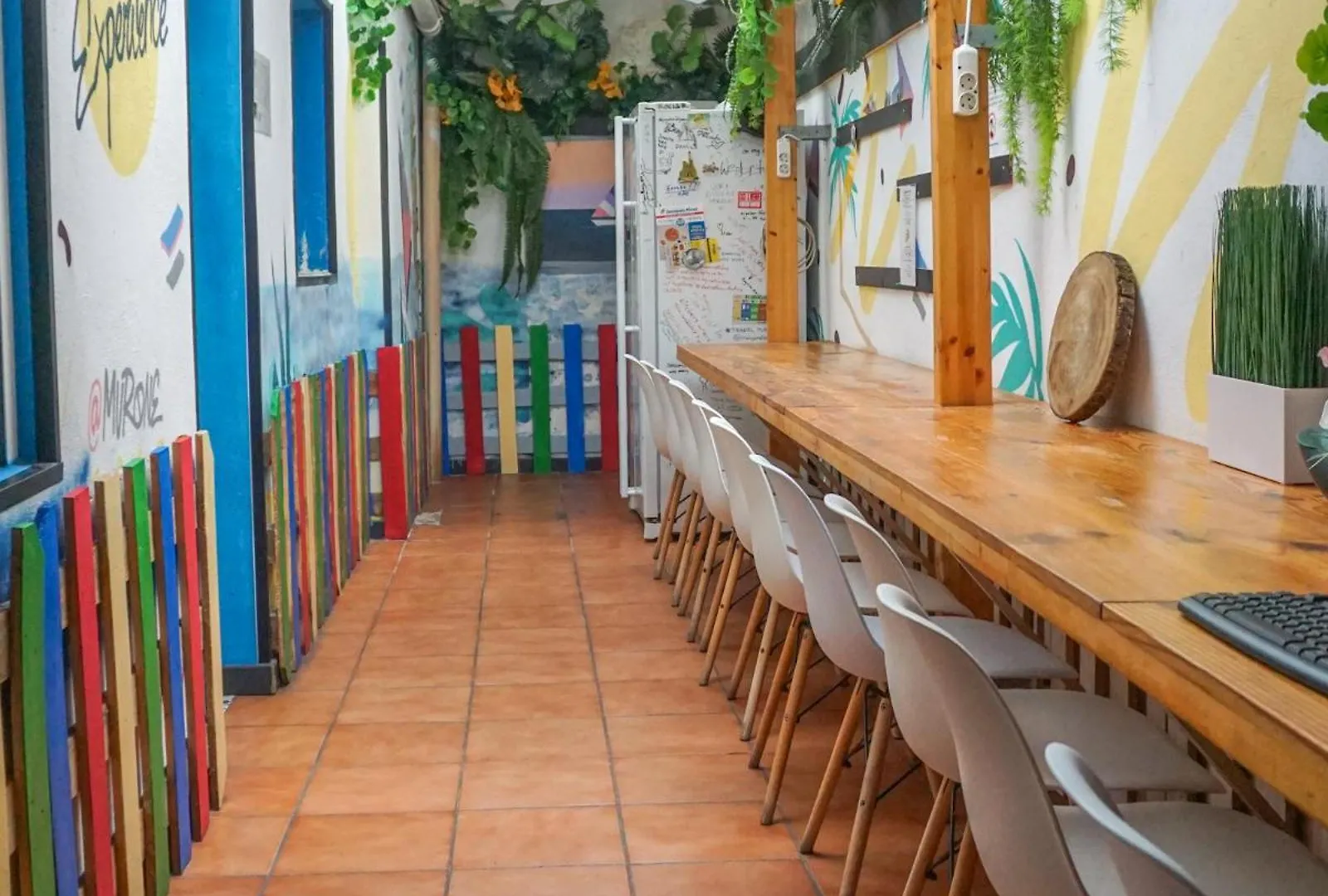 ** Affittacamere Tenerife Experience Hostel Santa Cruz de Tenerife Spagna